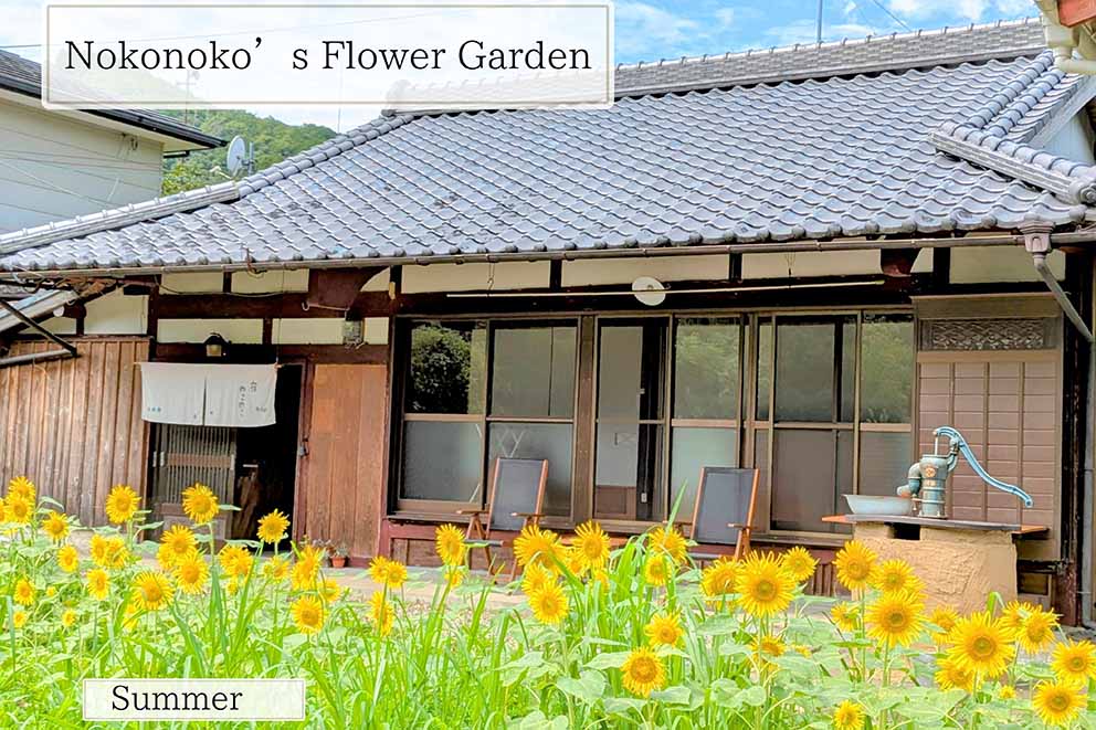 Guest House Noko Noko in summer